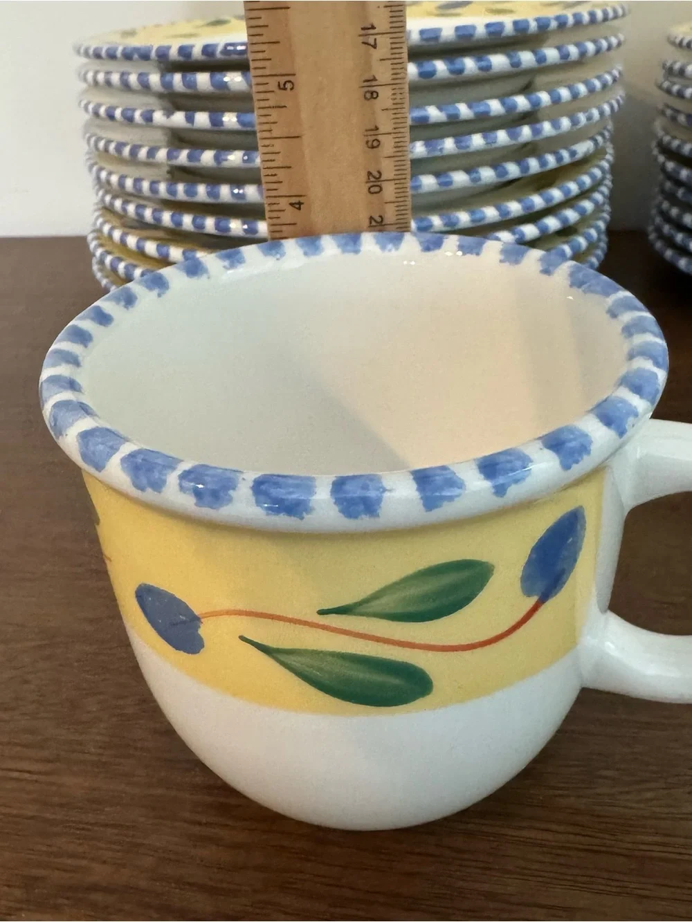 Pier 1 Palermo Rim 9 Soup Bowl, 10 Dinner Plate $ 2 Mug
